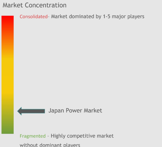 Japan Power Market Concentration